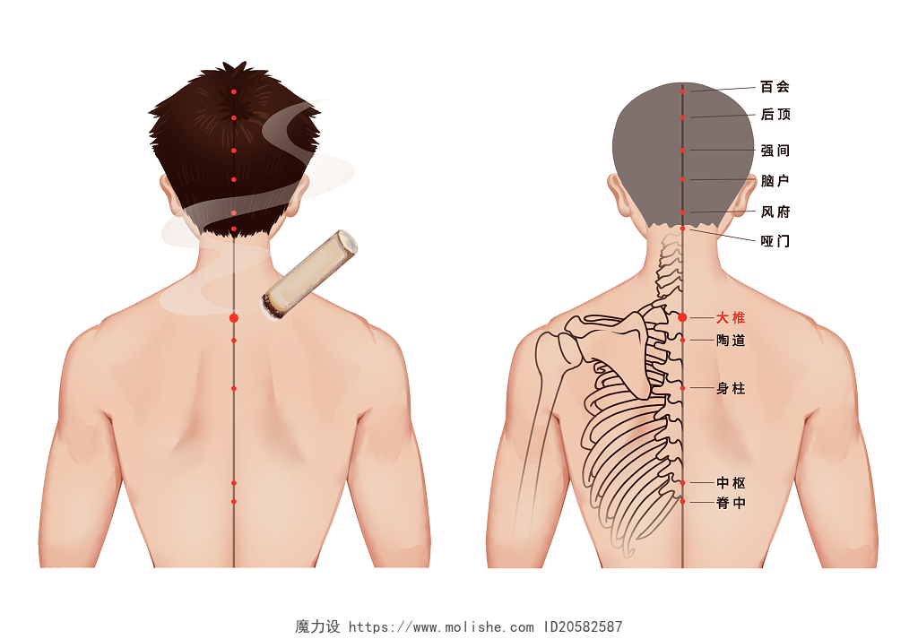 手绘中医中国文化手绘艾灸人体穴位科普插画插图中国国医节